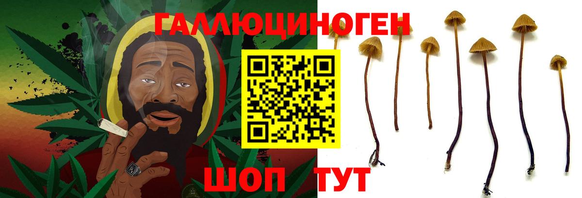 Псилоцибиновые грибы Psilocybine cubensis  Вход с VPN  Псилоцибиновые грибы Psilocybine cubensis  Миасс 